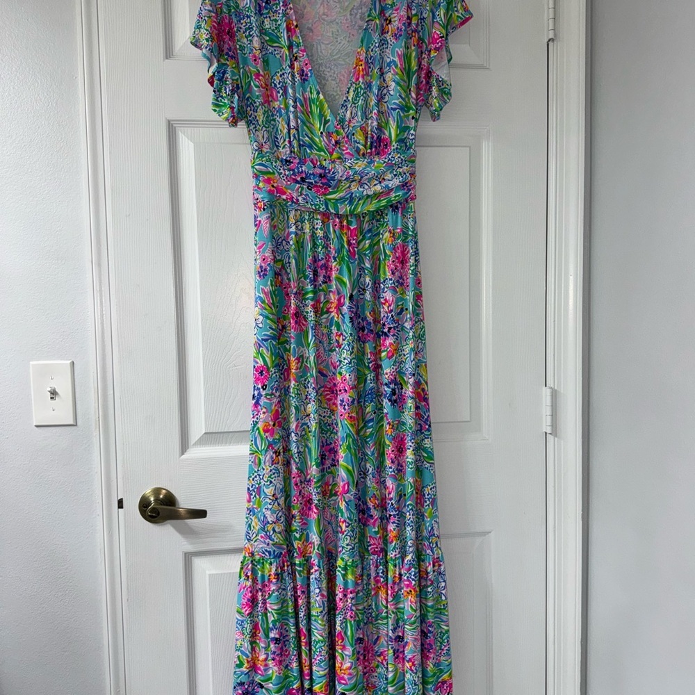 Lilly Pulitzer Maxi Dress! - Picture 4 of 8